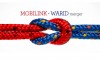 Mobilink_Warid_Merger